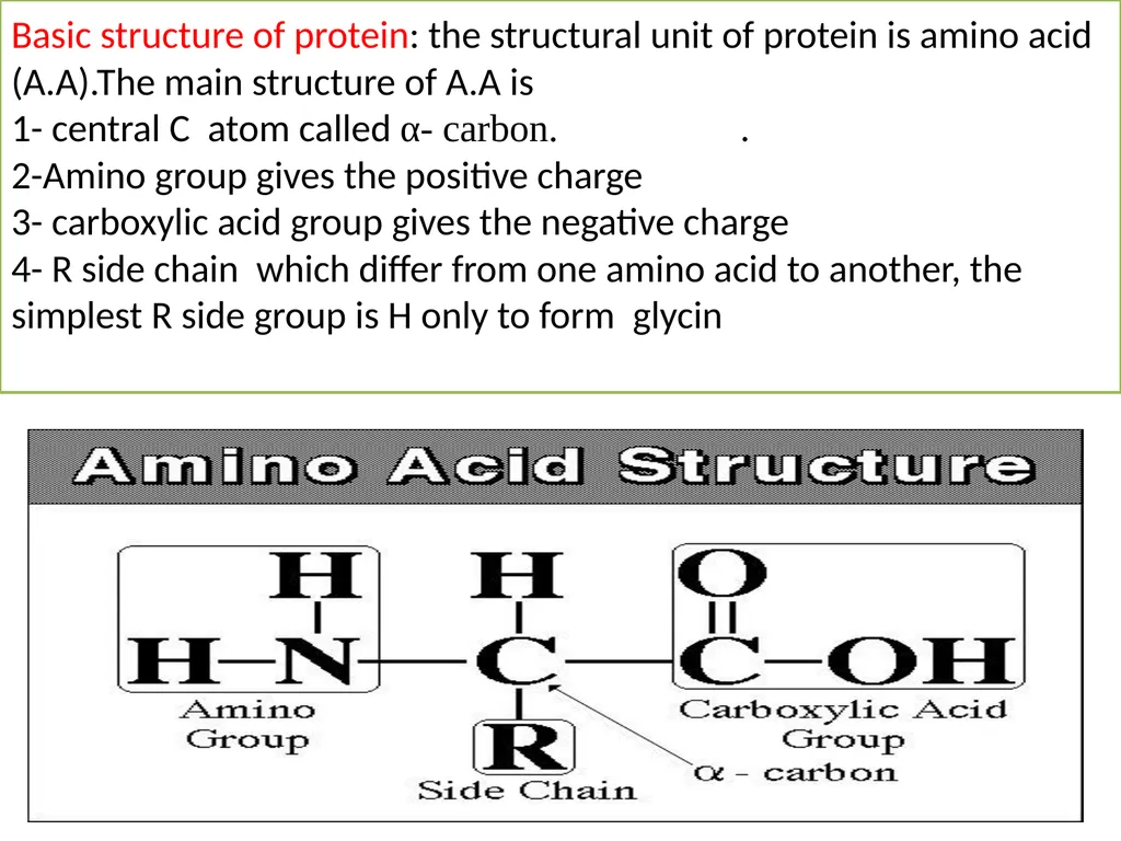 Lecture 13 :Protein synthesis TRANSLATION Proteins - slide 5 of 26