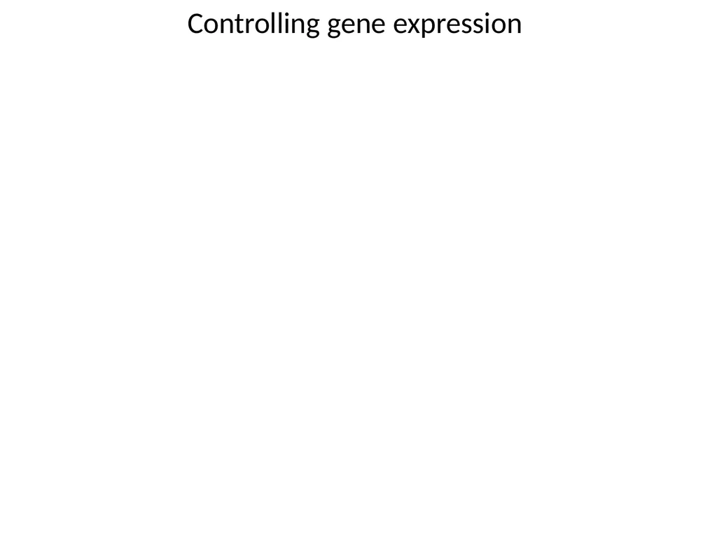 Lecture 13 :Protein synthesis TRANSLATION Proteins - slide 26 of 26