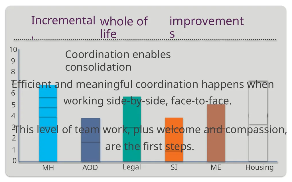 Presentation for the Mental Health Victoria - slide 5 of 11