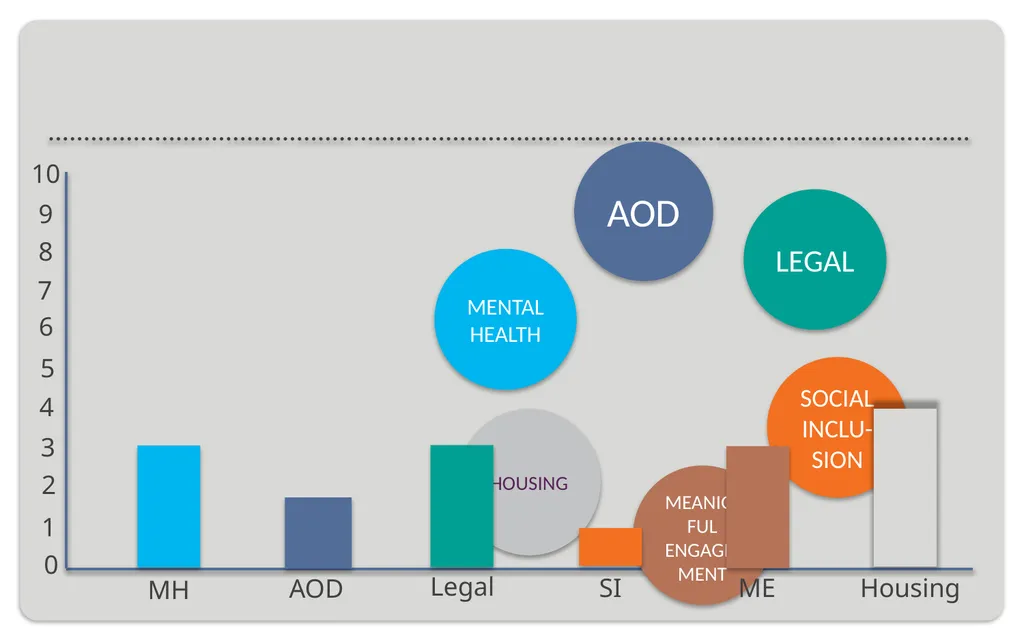 Presentation for the Mental Health Victoria - slide 4 of 11