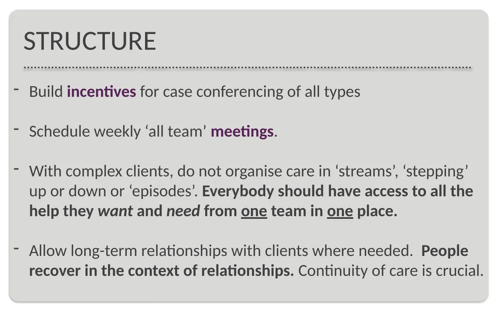 Presentation for the Mental Health Victoria - slide 10 of 11
