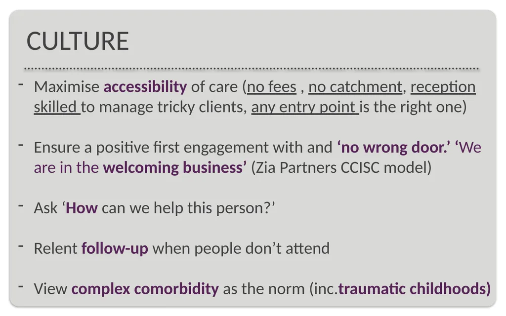 Presentation for the Mental Health Victoria - slide 7 of 11