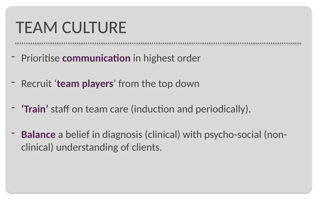 Presentation for the Mental Health Victoria - slide 8 of 11