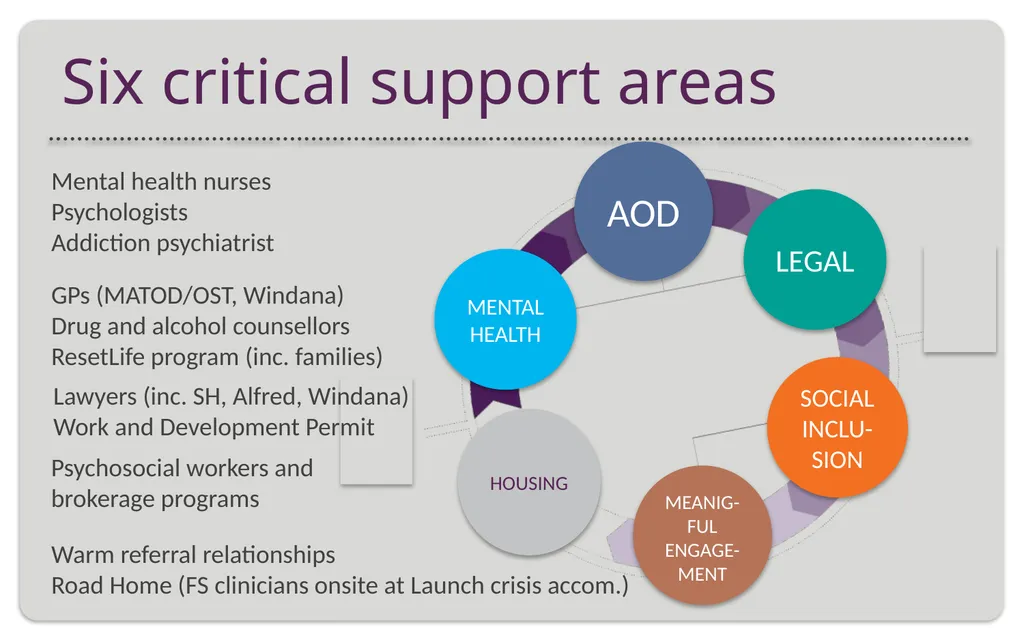 Presentation for the Mental Health Victoria - slide 3 of 11