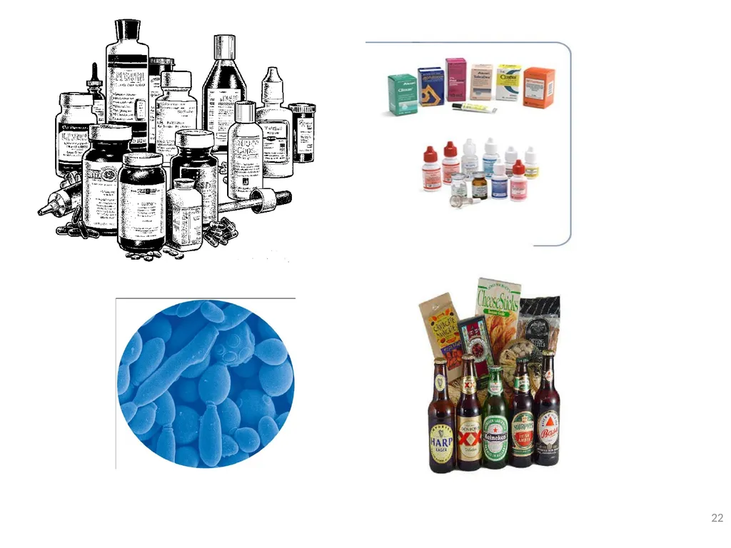 Industrial microbiology FERMENTATION TECHNOLOGY - slide 22 of 22