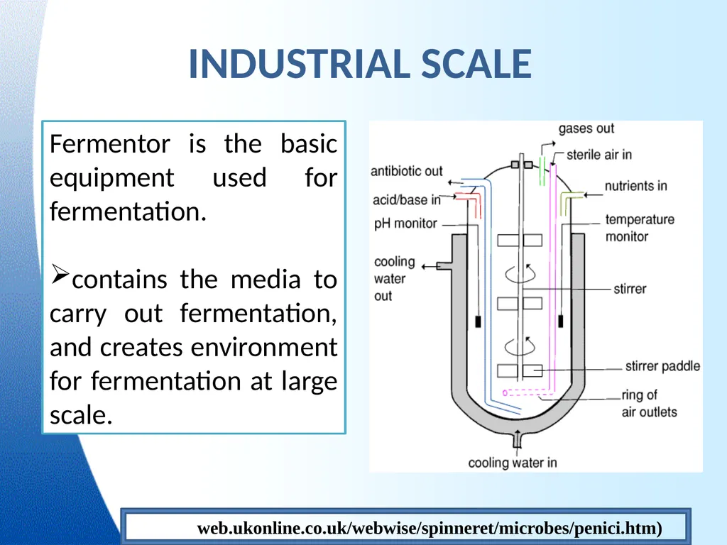 Industrial microbiology FERMENTATION TECHNOLOGY - slide 7 of 22