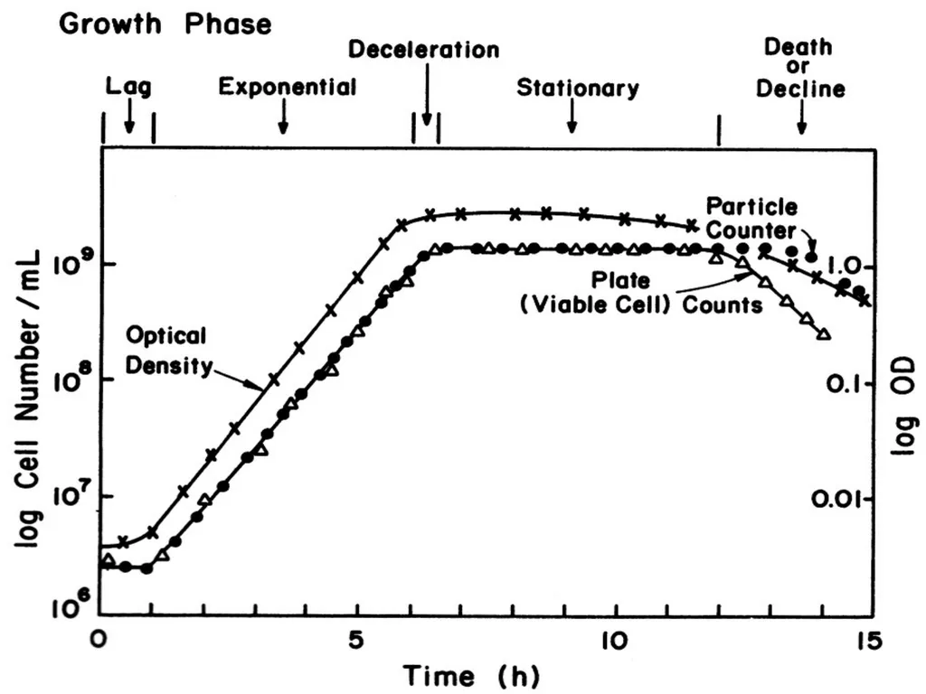 Industrial microbiology FERMENTATION TECHNOLOGY - slide 11 of 22