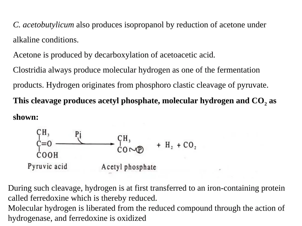 TYPES OF FERMENTATIONS Alcoholic Fermentation: - slide 16 of 23
