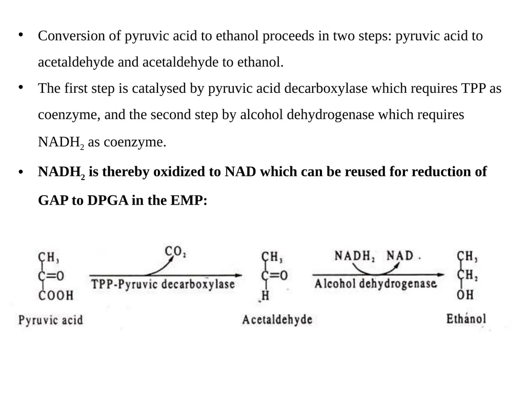 TYPES OF FERMENTATIONS Alcoholic Fermentation: - slide 3 of 23