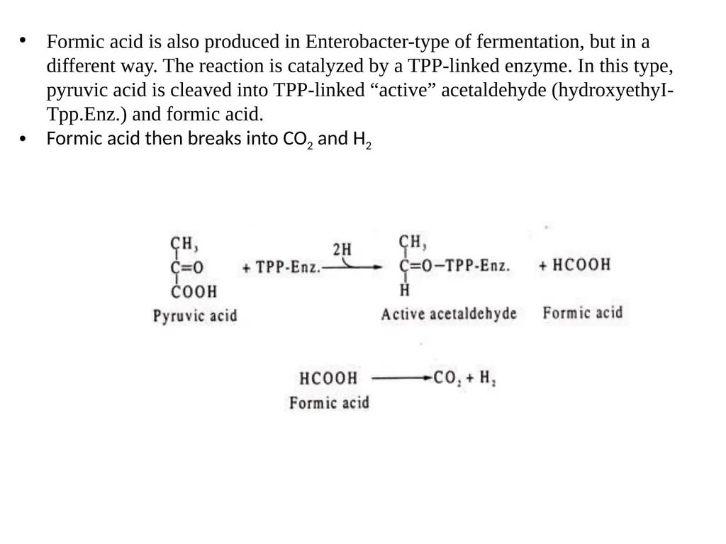 TYPES OF FERMENTATIONS Alcoholic Fermentation: - slide 20 of 23