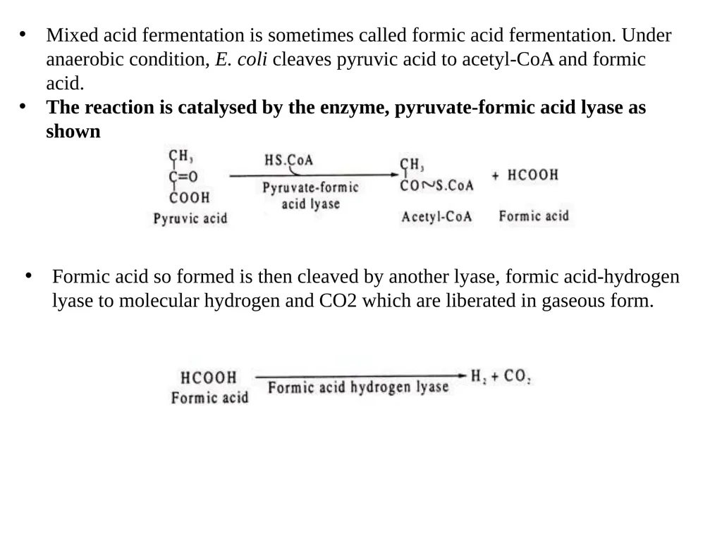 TYPES OF FERMENTATIONS Alcoholic Fermentation: - slide 19 of 23