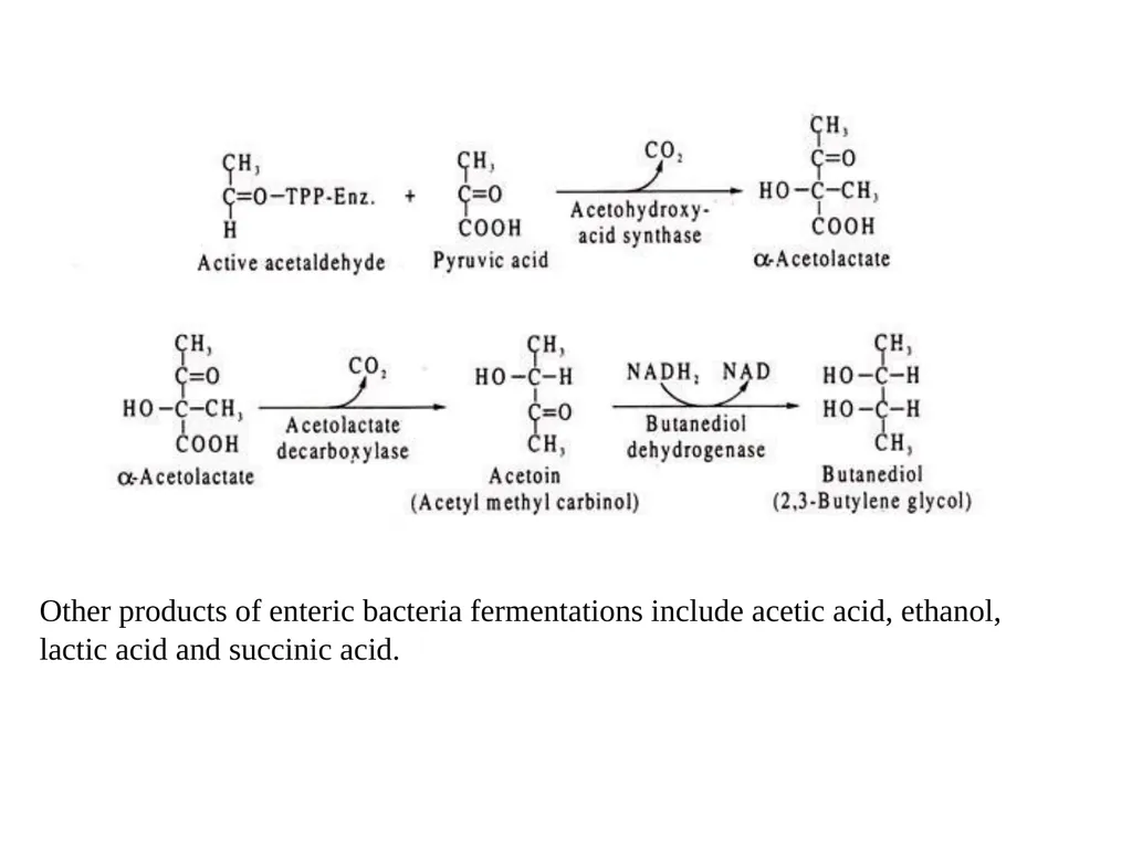 TYPES OF FERMENTATIONS Alcoholic Fermentation: - slide 22 of 23