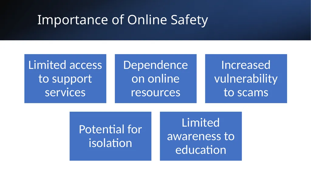Online Safety Bo Ford: Digital Equity Program - slide 3 of 12
