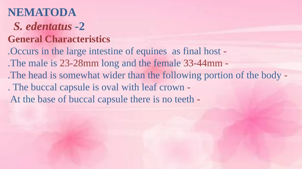 VETERINARY PARASITOLOGY THIRD YEAR STAGE 2018-2019 - slide 13 of 23