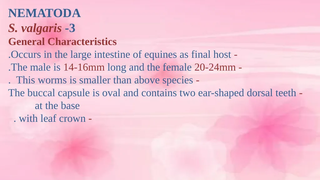 VETERINARY PARASITOLOGY THIRD YEAR STAGE 2018-2019 - slide 14 of 23