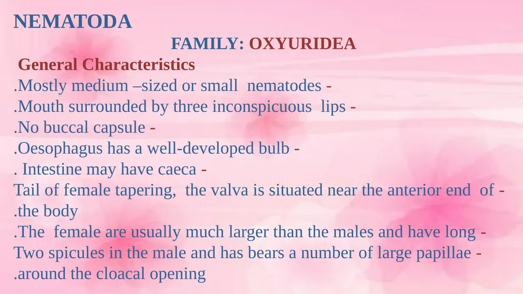 VETERINARY PARASITOLOGY THIRD YEAR STAGE 2018-2019 - slide 2 of 23