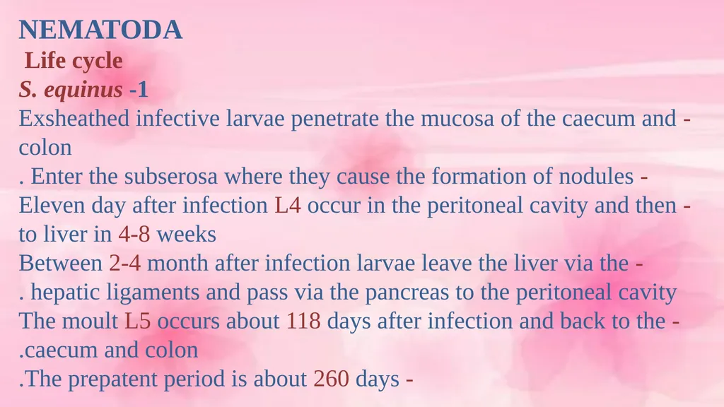 VETERINARY PARASITOLOGY THIRD YEAR STAGE 2018-2019 - slide 15 of 23