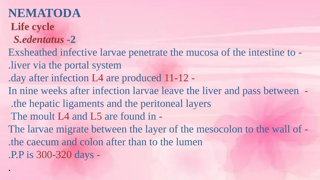 VETERINARY PARASITOLOGY THIRD YEAR STAGE 2018-2019 - slide 16 of 23