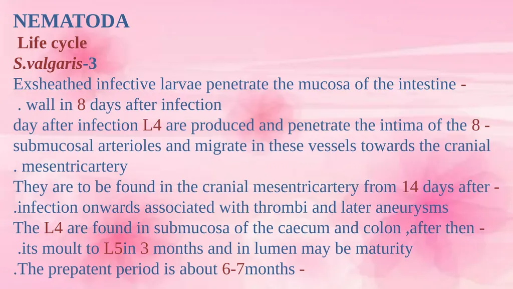 VETERINARY PARASITOLOGY THIRD YEAR STAGE 2018-2019 - slide 17 of 23