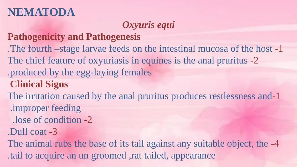 VETERINARY PARASITOLOGY THIRD YEAR STAGE 2018-2019 - slide 8 of 23