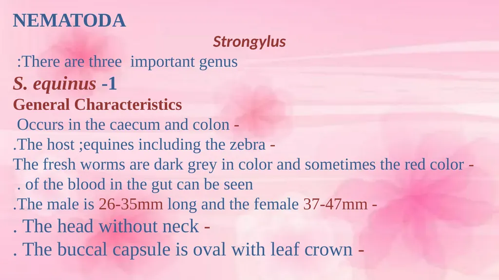 VETERINARY PARASITOLOGY THIRD YEAR STAGE 2018-2019 - slide 11 of 23