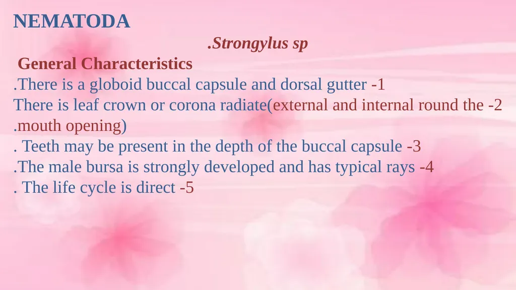 VETERINARY PARASITOLOGY THIRD YEAR STAGE 2018-2019 - slide 10 of 23