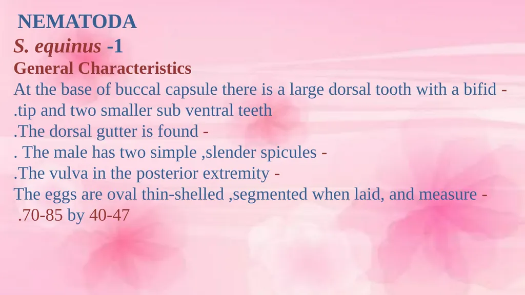 VETERINARY PARASITOLOGY THIRD YEAR STAGE 2018-2019 - slide 12 of 23
