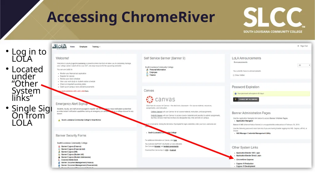 ChromeRiver Paperless Travel Management - slide 3 of 33