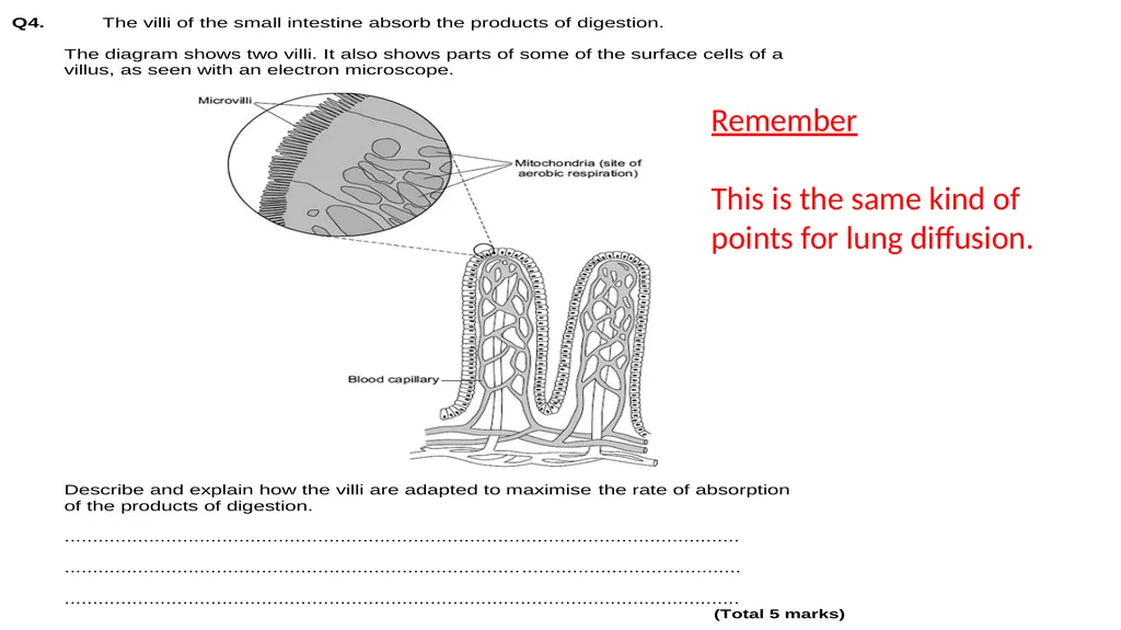 Biology Unit 2 Organisation Describe & explain - slide 21 of 34