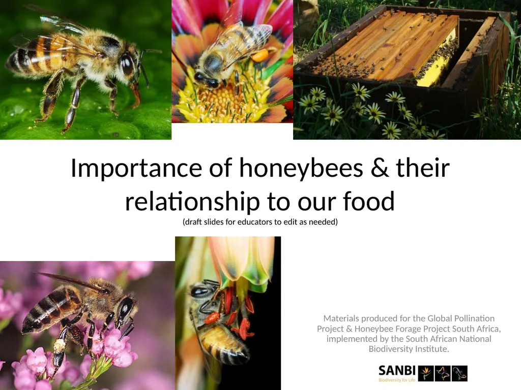 Pollination biology (draft slides for educators to - slide 7 of 18