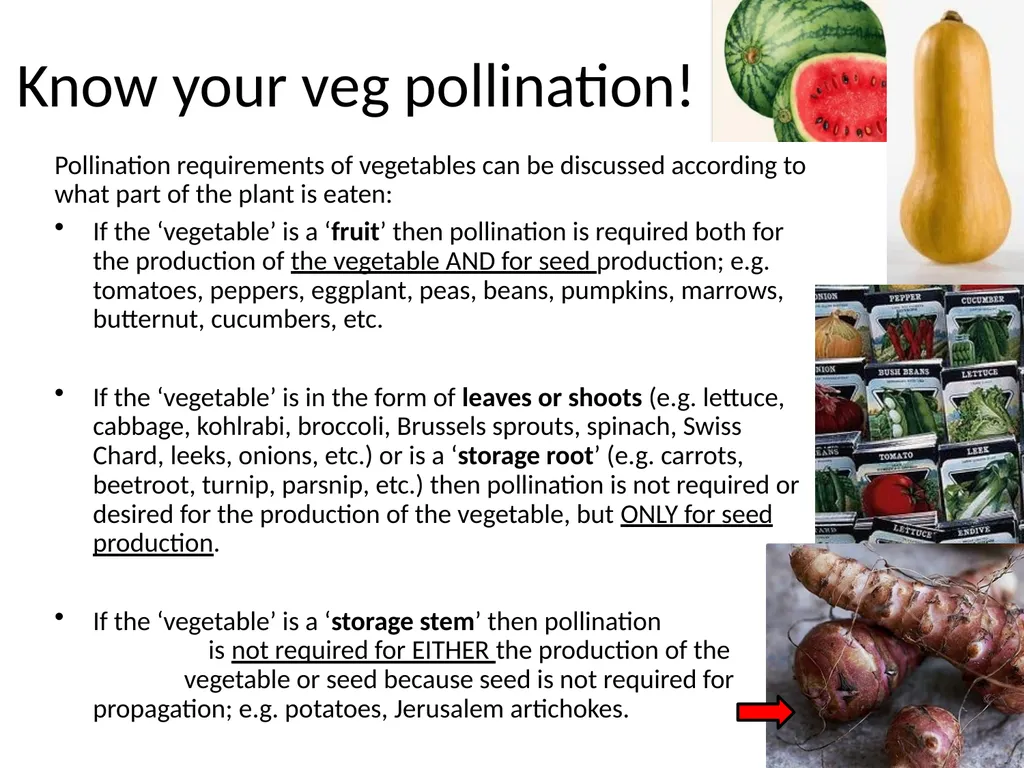 Pollination biology (draft slides for educators to - slide 13 of 18