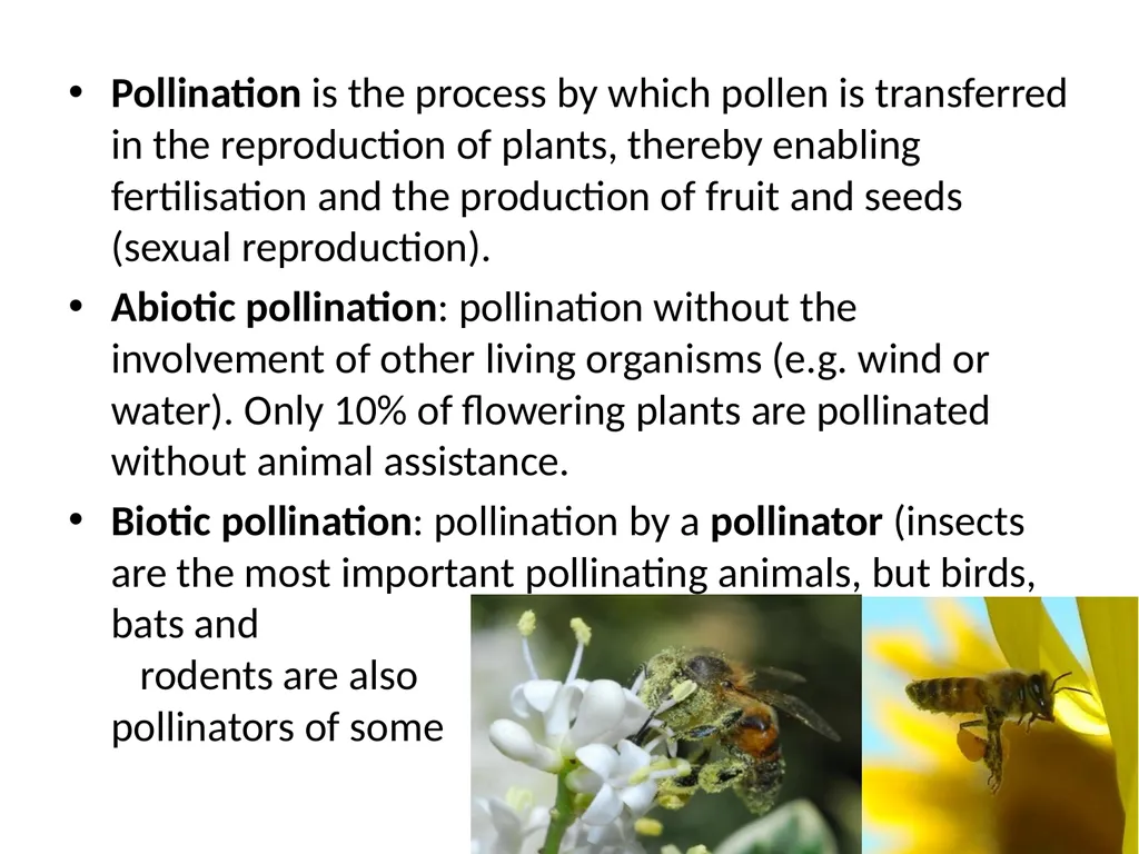 Pollination biology (draft slides for educators to - slide 2 of 18
