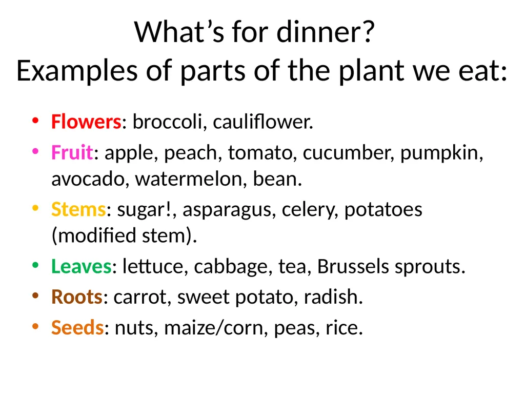 Pollination biology (draft slides for educators to - slide 12 of 18