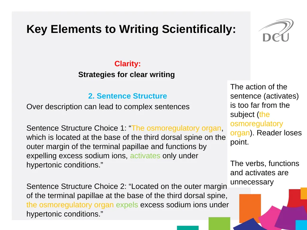 Scientific Writing DCU Student Learning Key - slide 16 of 34