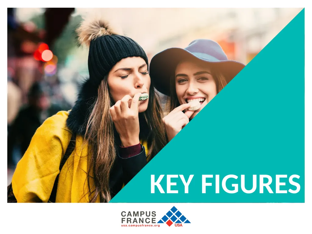 KEY FIGURES Experience French culture, expand your - slide 1 of 3