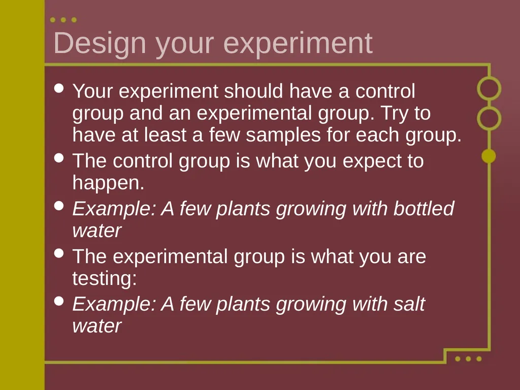Steps to a Successful Science Fair Project Ms. - slide 5 of 8