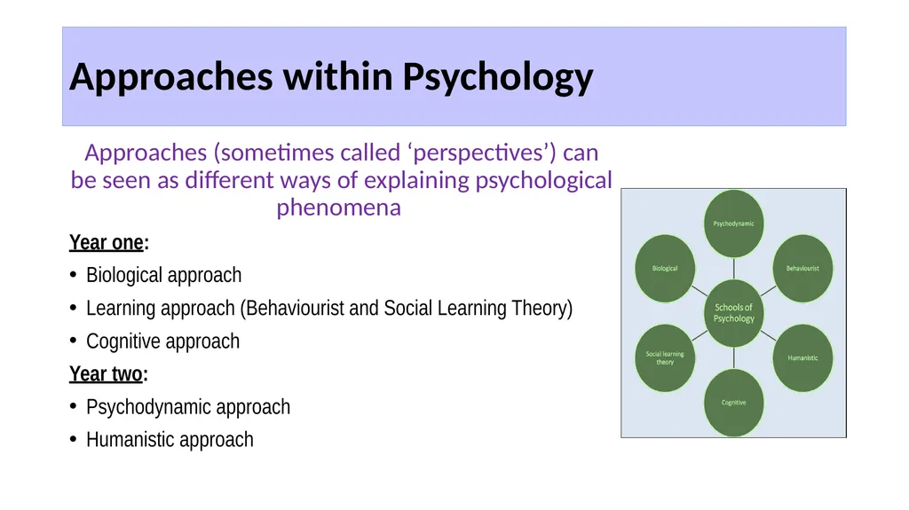 Origins of Psychology 4.2.1: Approaches in - slide 16 of 18