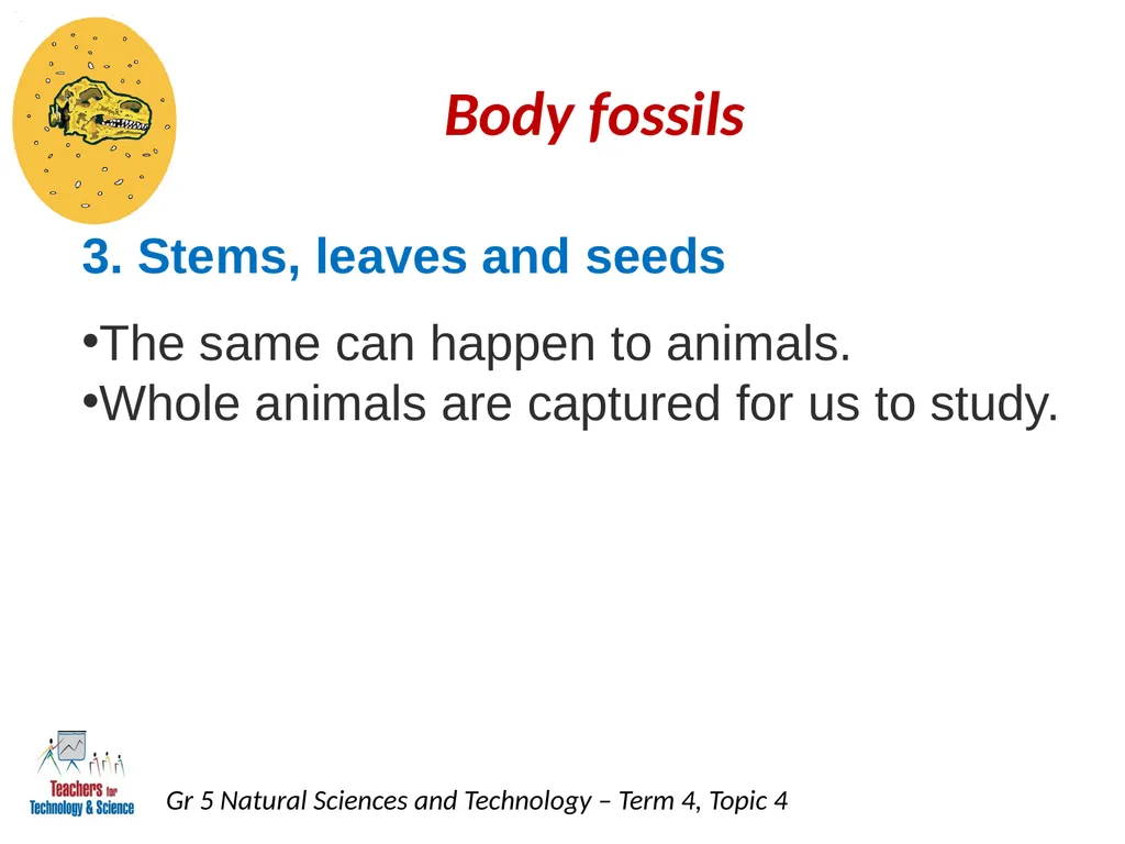 Natural Sciences and Technology Grade 5 Term 4: - slide 10 of 16