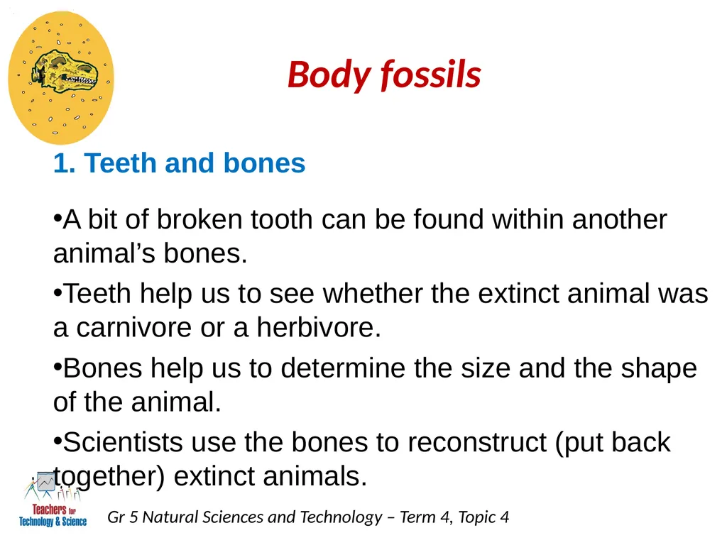 Natural Sciences and Technology Grade 5 Term 4: - slide 4 of 16