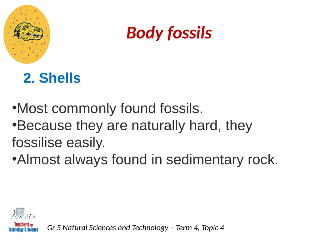 Natural Sciences and Technology Grade 5 Term 4: - slide 6 of 16