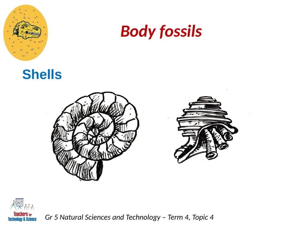Natural Sciences and Technology Grade 5 Term 4: - slide 7 of 16