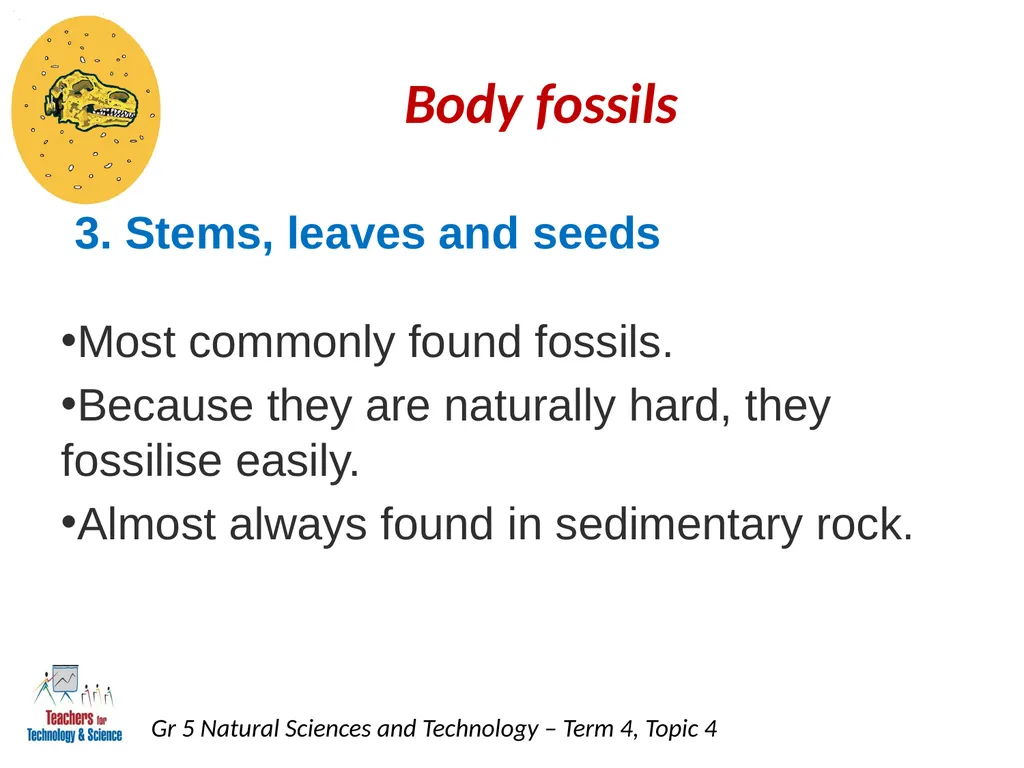 Natural Sciences and Technology Grade 5 Term 4: - slide 8 of 16