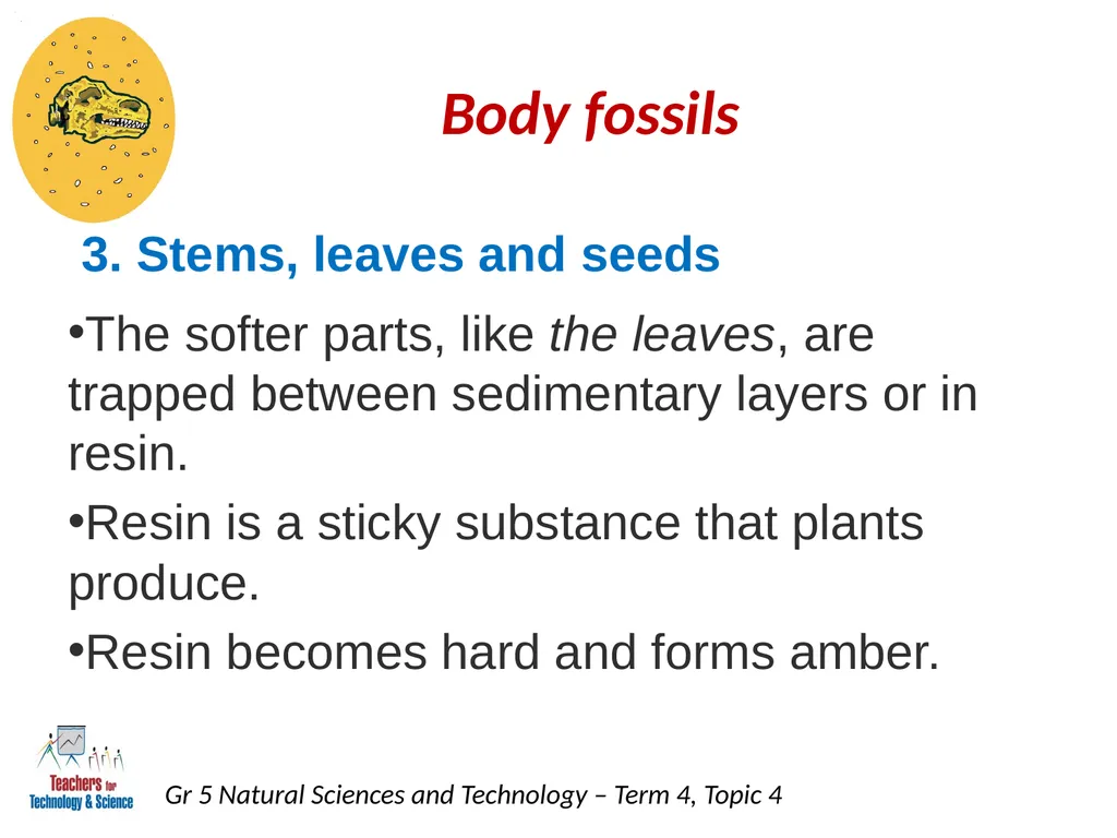 Natural Sciences and Technology Grade 5 Term 4: - slide 9 of 16
