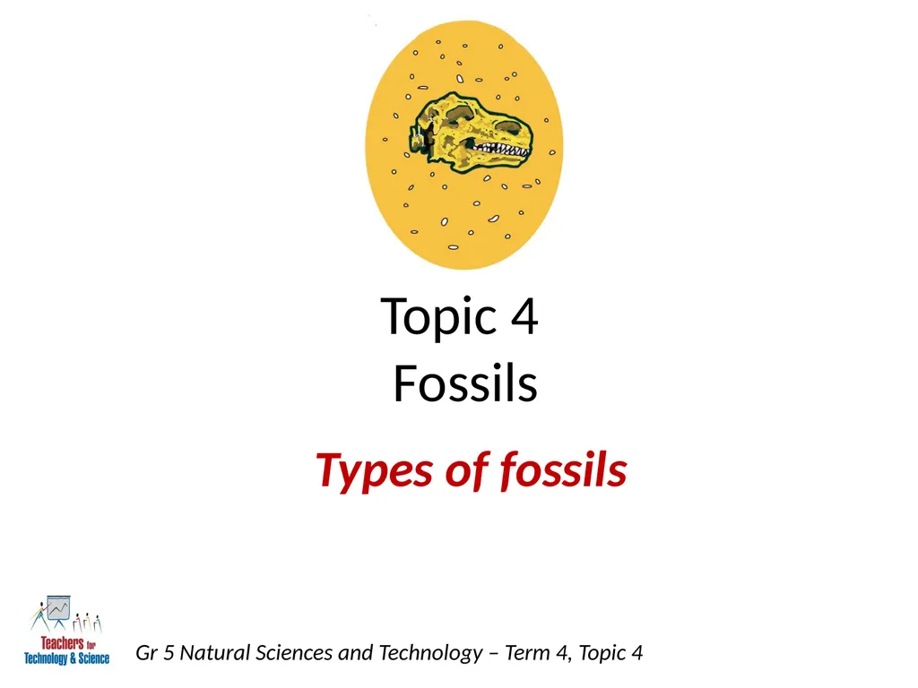 Natural Sciences and Technology Grade 5 Term 4: - slide 2 of 16