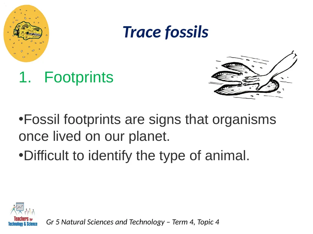 Natural Sciences and Technology Grade 5 Term 4: - slide 11 of 16
