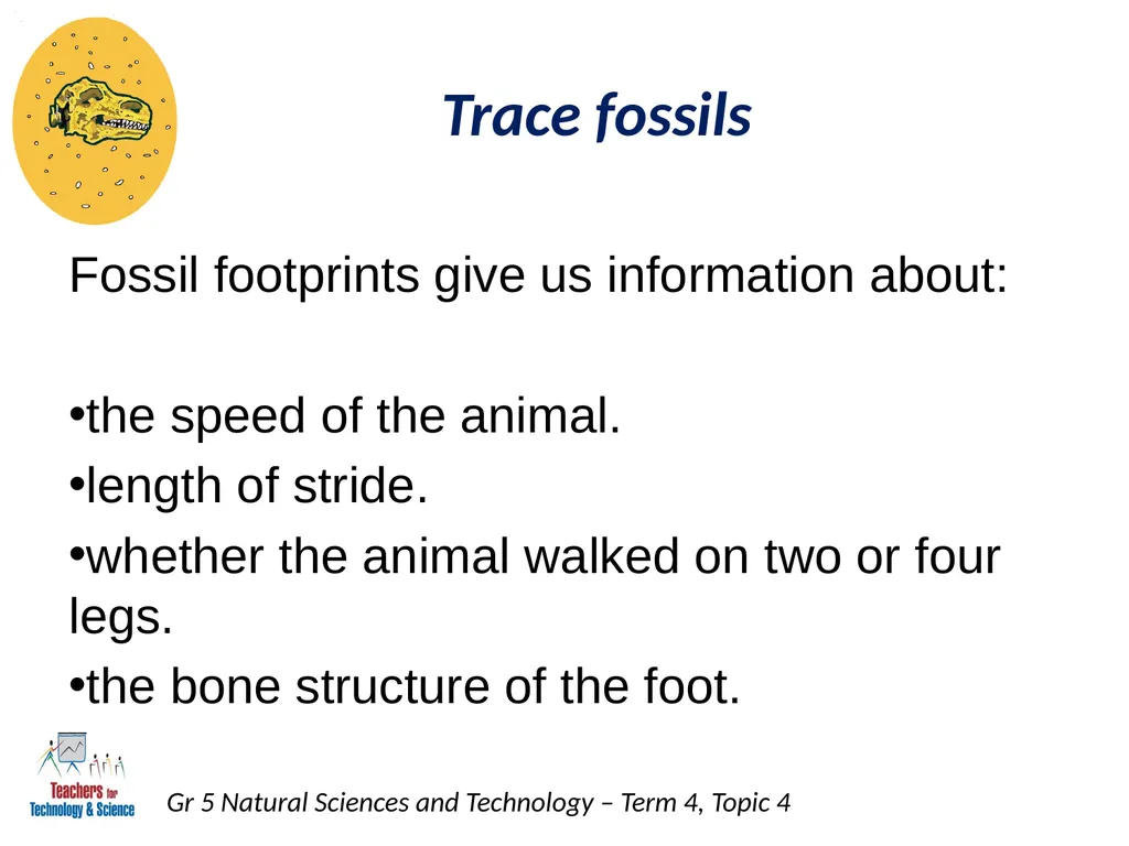 Natural Sciences and Technology Grade 5 Term 4: - slide 12 of 16