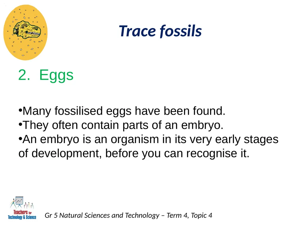 Natural Sciences and Technology Grade 5 Term 4: - slide 13 of 16