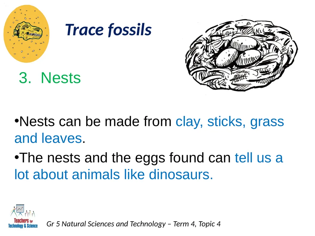 Natural Sciences and Technology Grade 5 Term 4: - slide 15 of 16