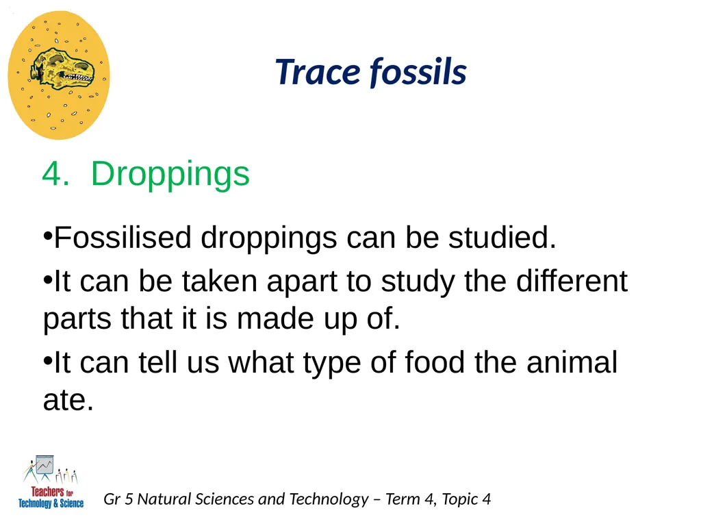 Natural Sciences and Technology Grade 5 Term 4: - slide 16 of 16