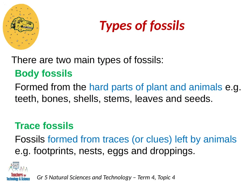 Natural Sciences and Technology Grade 5 Term 4: - slide 3 of 16